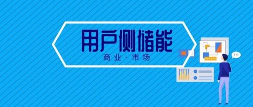 電力輔助服務(wù)市場(chǎng) 是賺錢(qián)的藍(lán)海還是虧損的迷局？